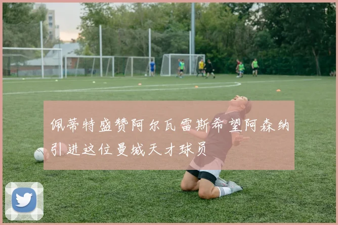 佩蒂特盛赞阿尔瓦雷斯希望阿森纳引进这位曼城天才球员